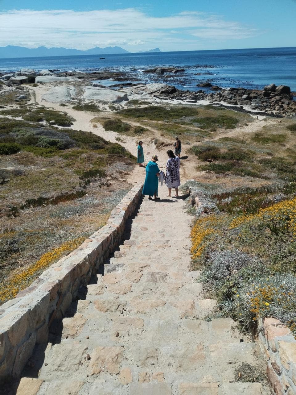 steps to tidal pool